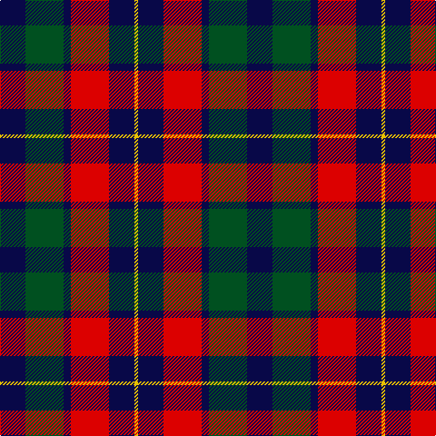 DB/28 G42 DB8 R42 DB28 Y/4 tartan Tartan detail