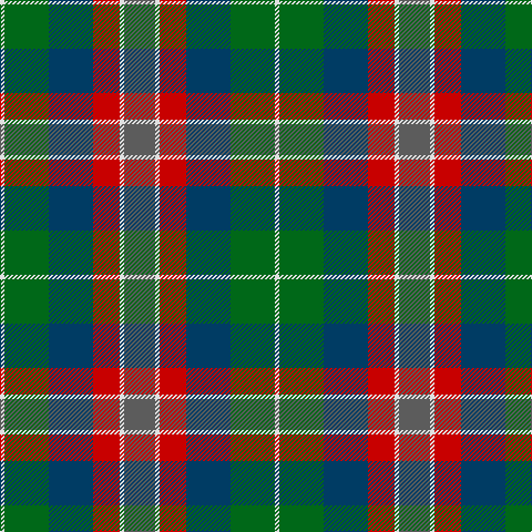 LN/4 G40 DB40 R24 LN4 N/28 tartan Tartan detail
