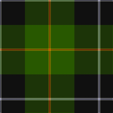 DB/2 N4 K100 G100 DY4 R/2 tartan Tartan detail