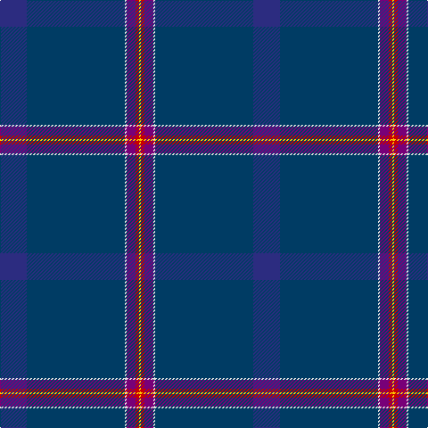 DB/30 DBa110 LN2 P10 R4 Y/2 tartan Tartan detail