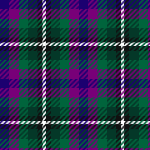 DB/30 P30 G30 DG30 K16 W/10 tartan Tartan detail