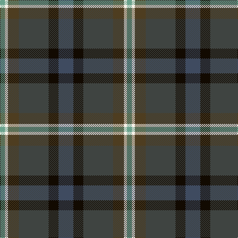 LG/10 W6 T22 N60 K20 Na/30 tartan Tartan detail
