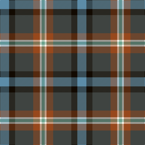 B/30 K20 N60 T22 W6 LG/10 tartan Tartan detail