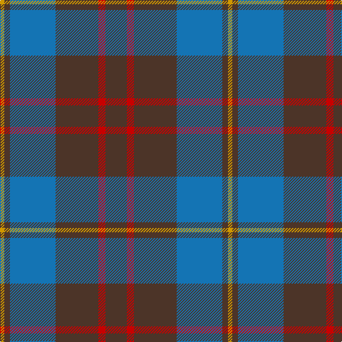 DY/6 T8 B64 T60 R10 T/30 tartan Tartan detail