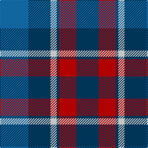 B/46 DB36 W10 DB4 R28 DB/36 tartan Tartan detail