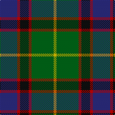 DB/36 R6 K18 R6 G46 Y/6 tartan Tartan detail
