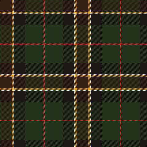 Ka/38 Y6 W2 K36 Kb60 R/4 tartan Tartan detail