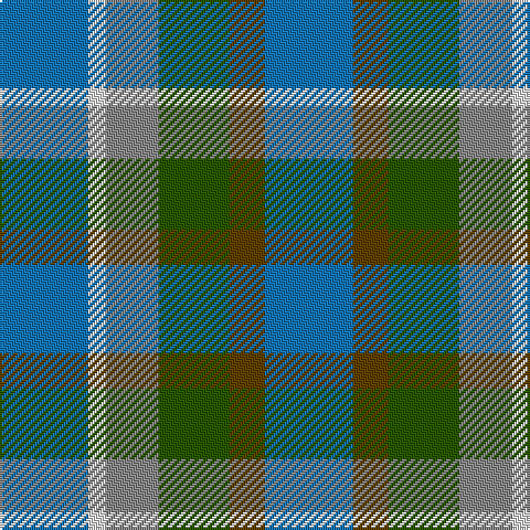 B/40 LN8 N24 G32 T16 B/40 tartan Tartan detail