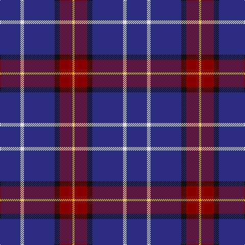 DB/40 LN7 DB60 K10 DR25 Y/4 tartan Tartan detail