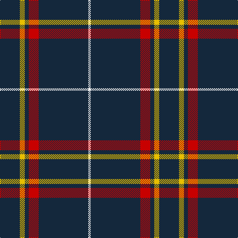DN/40 Y10 DN8 R20 DN100 W/5 tartan Tartan detail