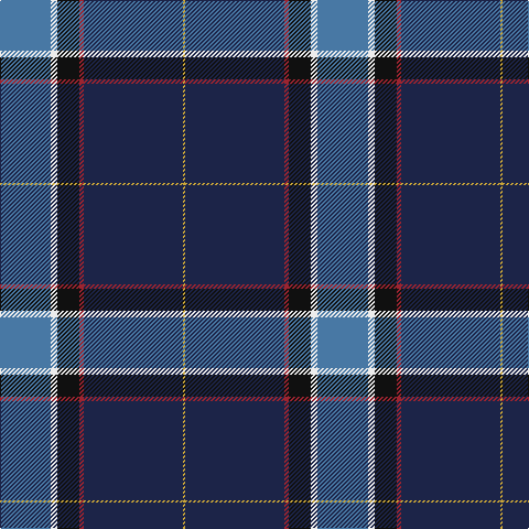 B/46 W6 K20 DR4 DB90 O/2 tartan Tartan detail