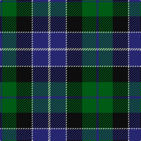 DB/4 G24 K26 LN2 DB26 LN/4 tartan Tartan detail