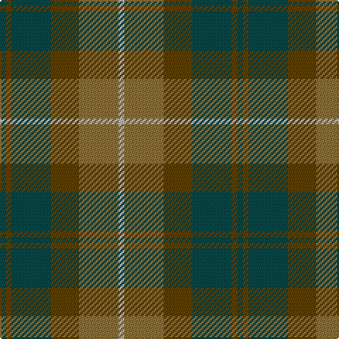 G/4 T4 G28 T20 LT28 N/4 tartan Tartan detail