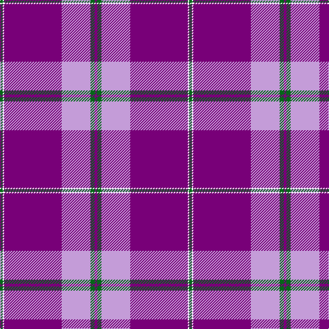 G/4 W2 P84 LP42 G6 P/4 tartan Tartan detail