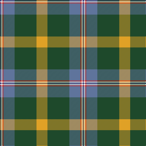 DB/4 W4 R4 B36 DG72 Y/36 tartan Tartan detail