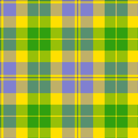 Ba/4 Y8 B44 Y40 G38 Y/4 tartan Tartan detail