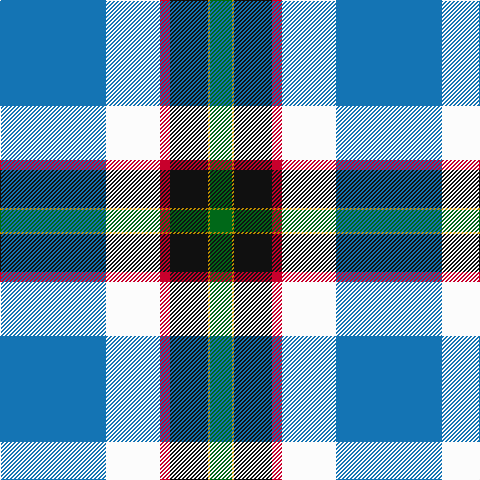 B/106 W54 R10 K38 DY2 G/22 tartan Tartan detail