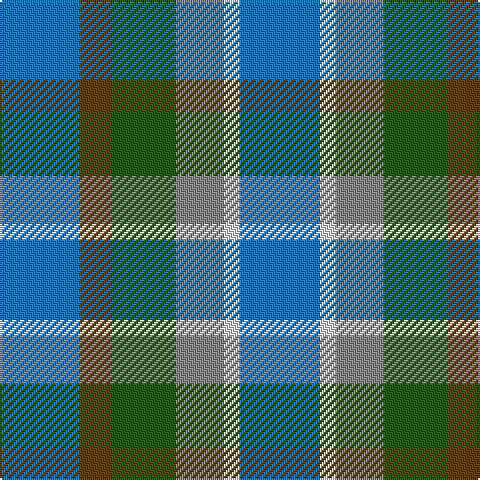 B/40 T16 G32 N24 LN8 B/40 tartan Tartan detail