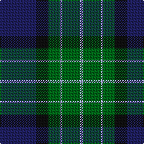 DB/60 K20 G20 LP4 G30 LP/4 tartan Tartan detail