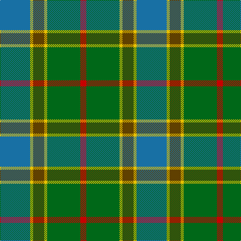 B/60 Y6 T22 Y6 G66 R/12 tartan Tartan detail