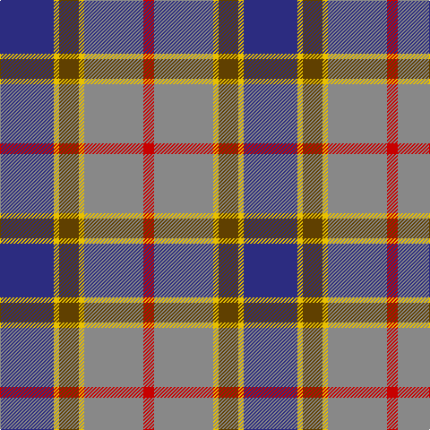 DB/60 Y6 T22 Y6 N66 R/12 tartan Tartan detail