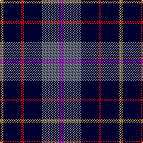 LT/6 DB30 R4 DB30 N30 P/6 tartan Tartan detail