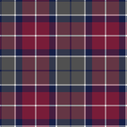 DB/6 N48 LN6 DB24 DR48 LN/6 tartan Tartan detail