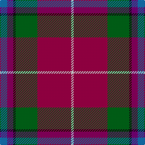 B/12 P10 K4 G36 R56 LN/4 tartan Tartan detail