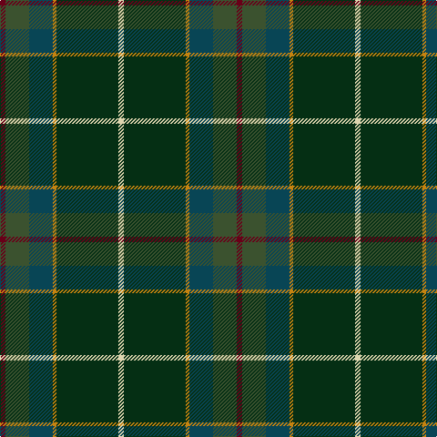 DR/6 G26 DB26 DY4 DG68 LR/6 tartan Tartan detail
