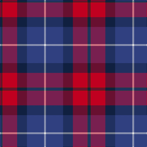 DB/6 DG2 R48 DB32 B56 LN/6 tartan Tartan detail