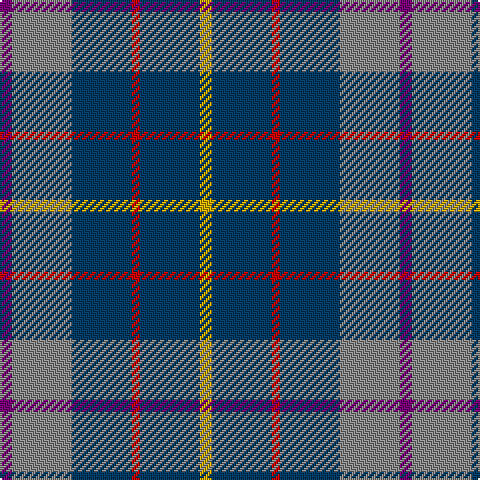 P/6 Na30 DB30 R4 DB30 Y/6 tartan Tartan detail