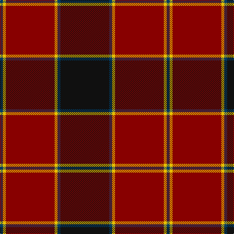 DB/6 Y6 DR100 Y6 DB6 K/100 tartan Tartan detail