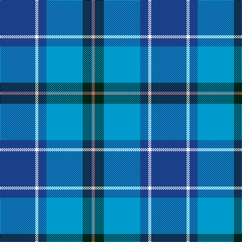 Ba/70 W6 Ba16 B72 DG18 LT/6 tartan Tartan detail