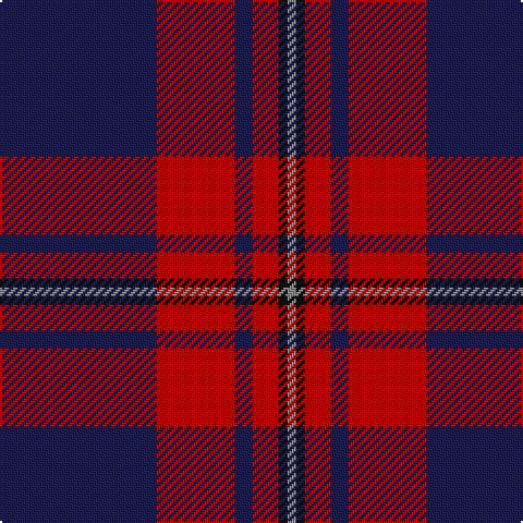 DB/72 R36 DB8 R12 K4 N/4 tartan Tartan detail