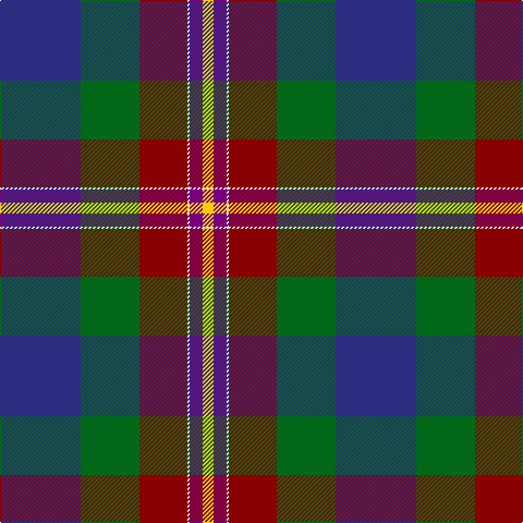 DB/74 G54 DR44 LN2 P12 Y/10 tartan Tartan detail