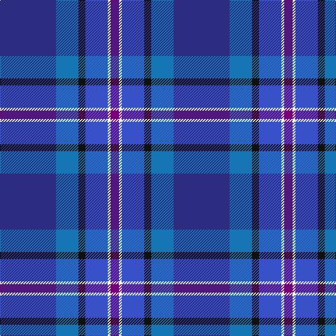 DB/80 Ba32 K10 B32 W4 P/12 tartan Tartan detail