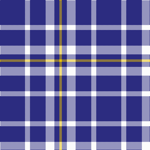 DB/80 W16 DB50 W28 DB16 Y/8 tartan Tartan detail