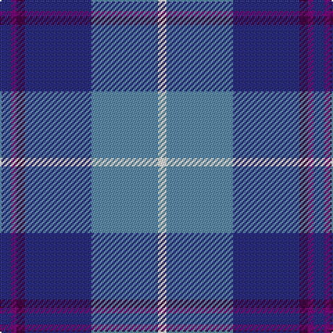 DB/8 P4 DP6 DB48 B48 W/6 tartan Tartan detail