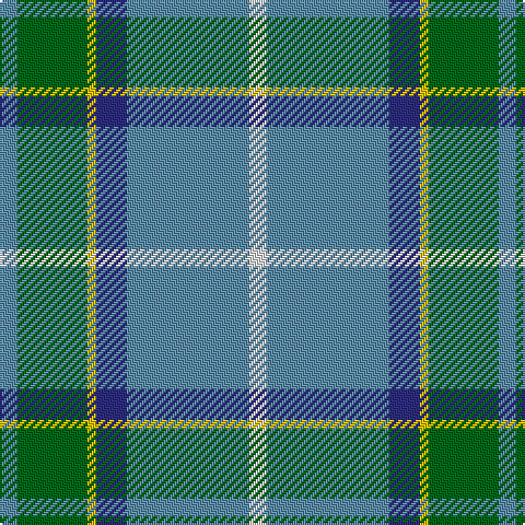 B/8 G32 Y4 DB14 B56 LN/8 tartan Tartan detail