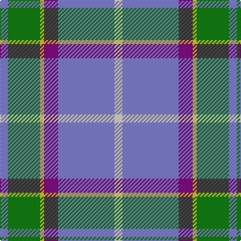B/8 G32 Y4 P14 B56 LN/8 tartan Tartan detail