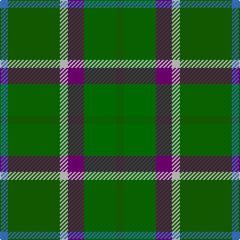 B/8 G52 N8 P16 Ga32 G/8 tartan Tartan detail