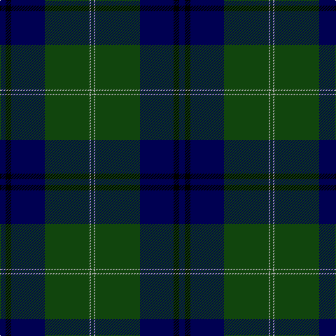 DB/8 K8 DB48 DG64 N2 DG/4 tartan Tartan detail