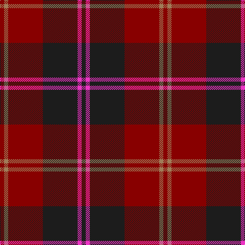 DR/8 LT8 DR68 K68 LR8 K/8 tartan Tartan detail
