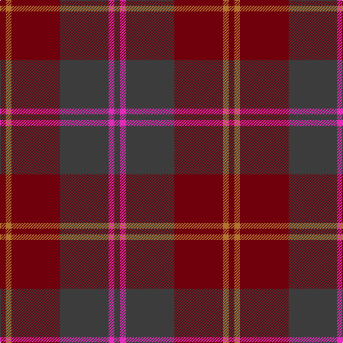 DR/8 LT8 DR68 N68 LR8 N/8 tartan Tartan detail