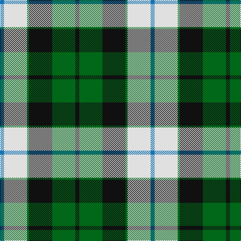 B/8 LN46 G4 K46 G46 K/8 tartan Tartan detail