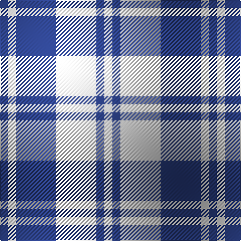B/8 LN8 B40 LN40 B8 LN/8 tartan Tartan detail