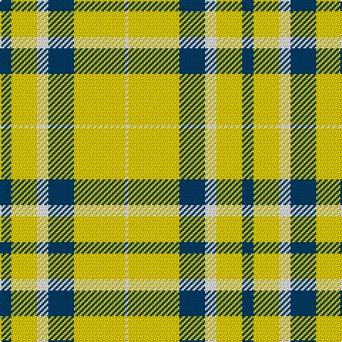 DB/8 Y18 W8 DB18 Y36 W/2 tartan Tartan detail
