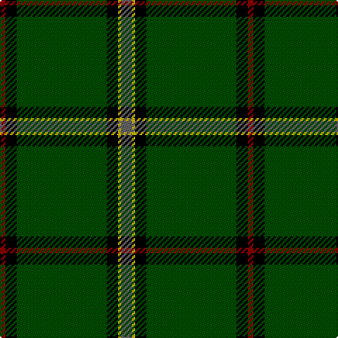 DR/4 K8 G64 K8 Y2 N/8 tartan Tartan detail