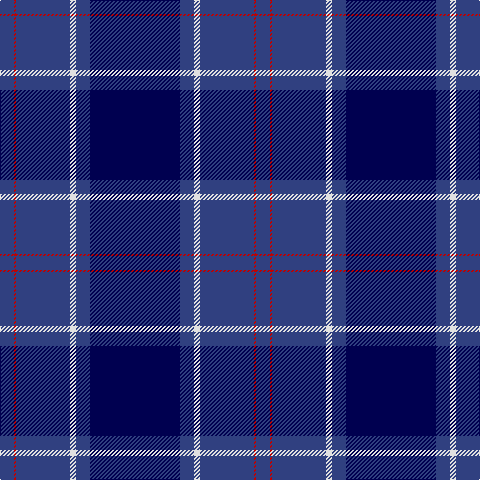 B/14 R2 B54 LN6 B14 DB/90 tartan Tartan detail