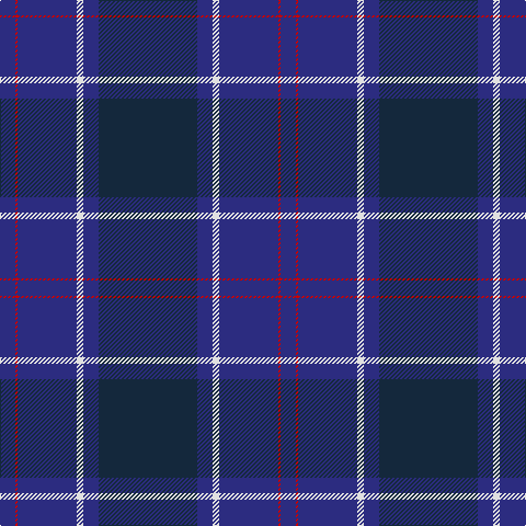 DB/14 R2 DB54 LN6 DB14 DN/90 tartan Tartan detail